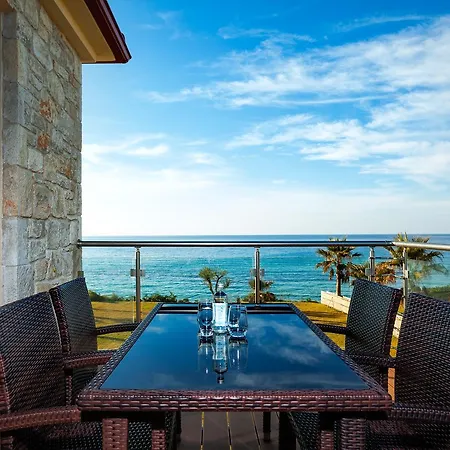 Belohorizonte Fine فوركا